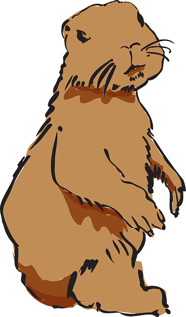 Best Beaver Stickers messages sticker-3