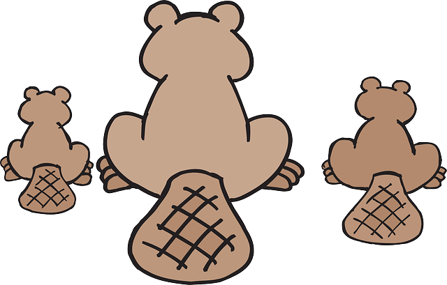 Best Beaver Stickers messages sticker-9