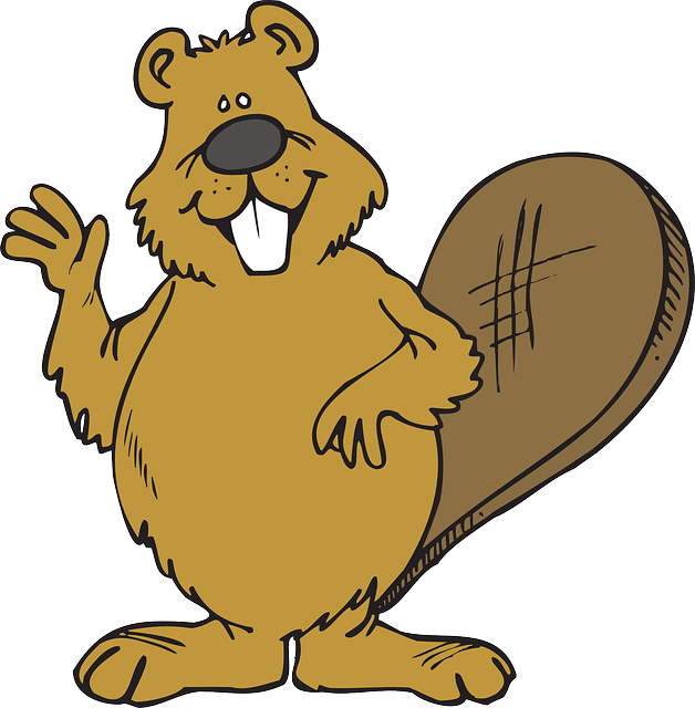 Best Beaver Stickers messages sticker-0