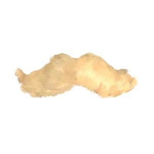 Movember Moustache Stickers messages sticker-10