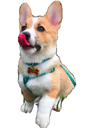 Cocomoji messages sticker-11