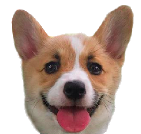 Cocomoji messages sticker-0