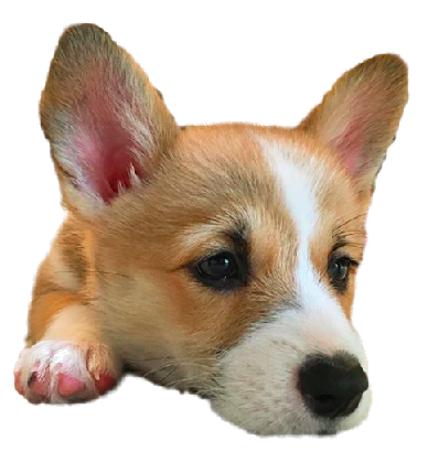 Cocomoji messages sticker-10