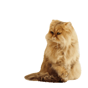 MONETA Tom Samolepky messages sticker-4