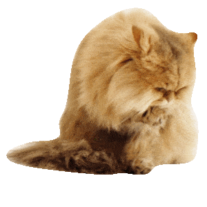MONETA Tom Samolepky messages sticker-1