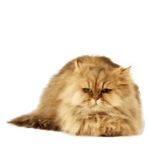 MONETA Tom Samolepky messages sticker-11