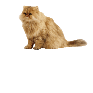 MONETA Tom Samolepky messages sticker-5