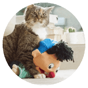 MONETA Tom Samolepky messages sticker-8