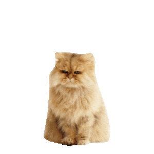 MONETA Tom Samolepky messages sticker-2