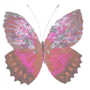 Haulwen Butterflies messages sticker-1