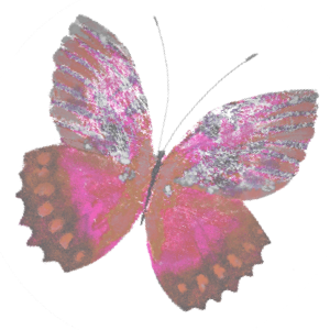 Haulwen Butterflies messages sticker-5