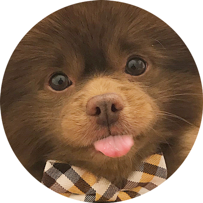 Bert Stickers messages sticker-2
