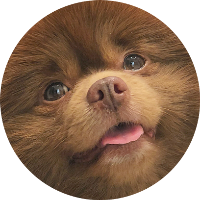 Bert Stickers messages sticker-0