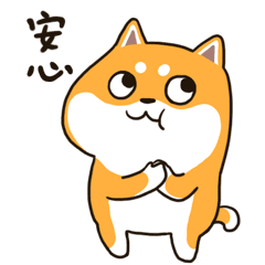 Cute Dog Mr.Chai Sticker messages sticker-4