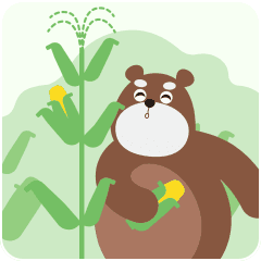 Cute Bear Mr.Huang Sticker messages sticker-11