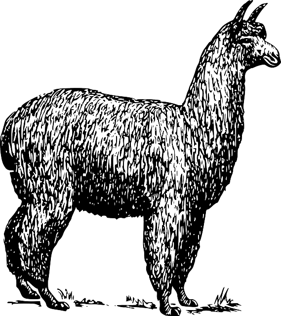 Lotsa Llama Stickers messages sticker-7