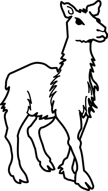 Lotsa Llama Stickers messages sticker-6