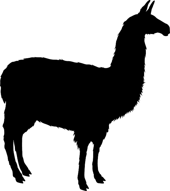 Lotsa Llama Stickers messages sticker-9
