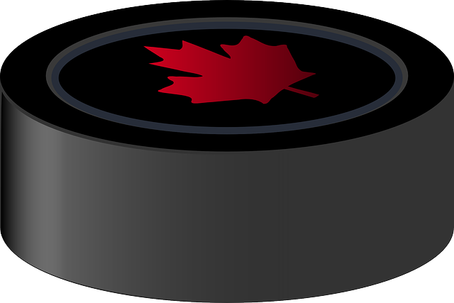 Lotsa Hockey Stickers messages sticker-0
