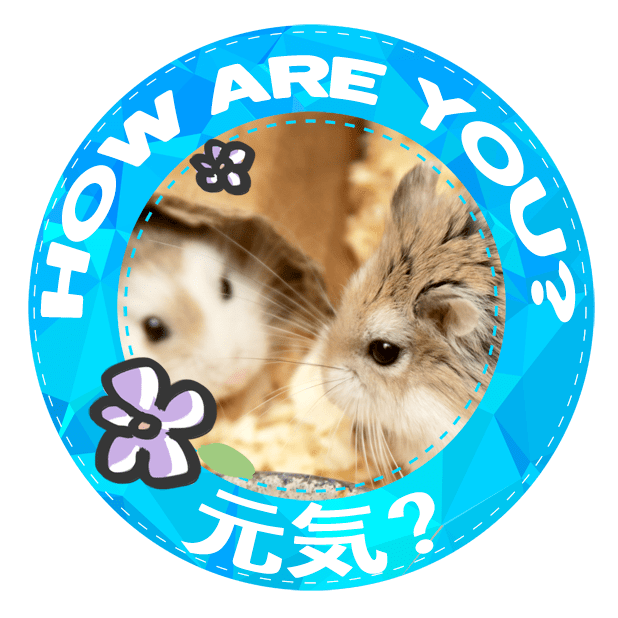HammyVille 1 messages sticker-2
