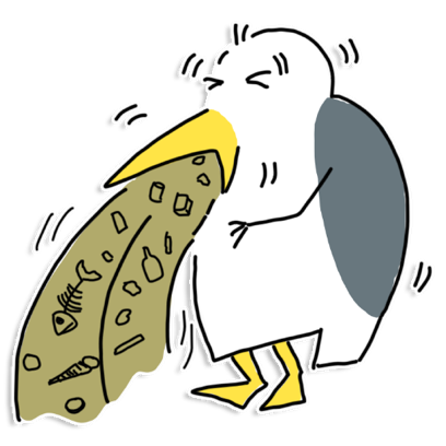 Steinmöwen Sticker messages sticker-11