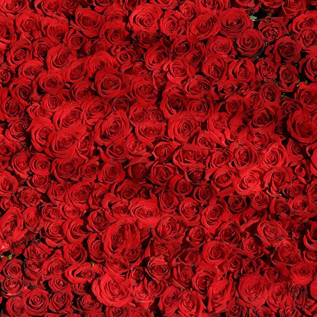 Flowers for your love messages sticker-4