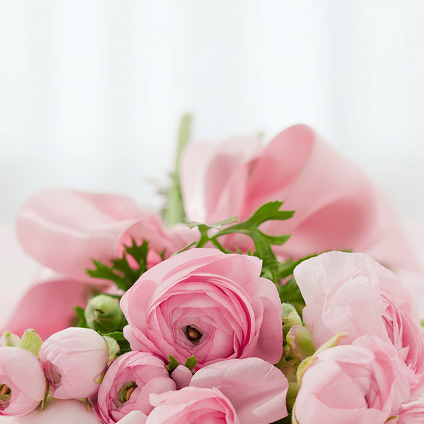 Flowers for your love messages sticker-5