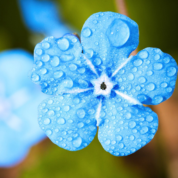 Flowers for your love messages sticker-11