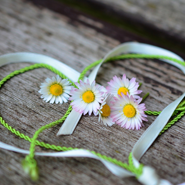 Flowers for your love messages sticker-0