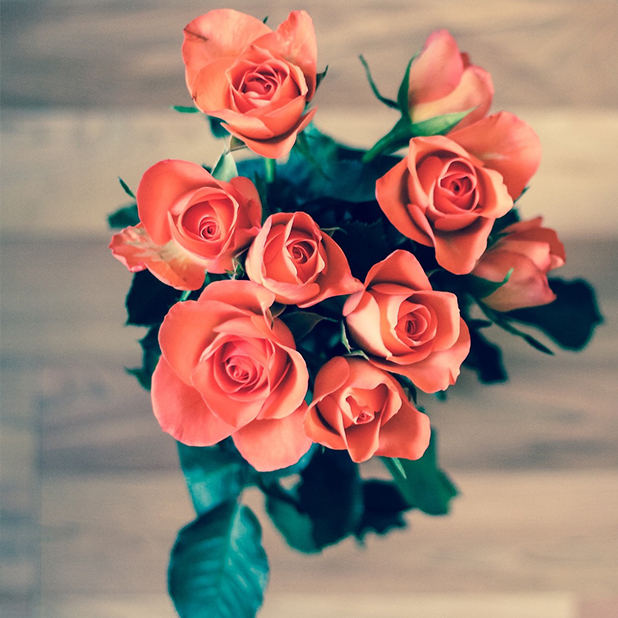 Flowers for your love messages sticker-6