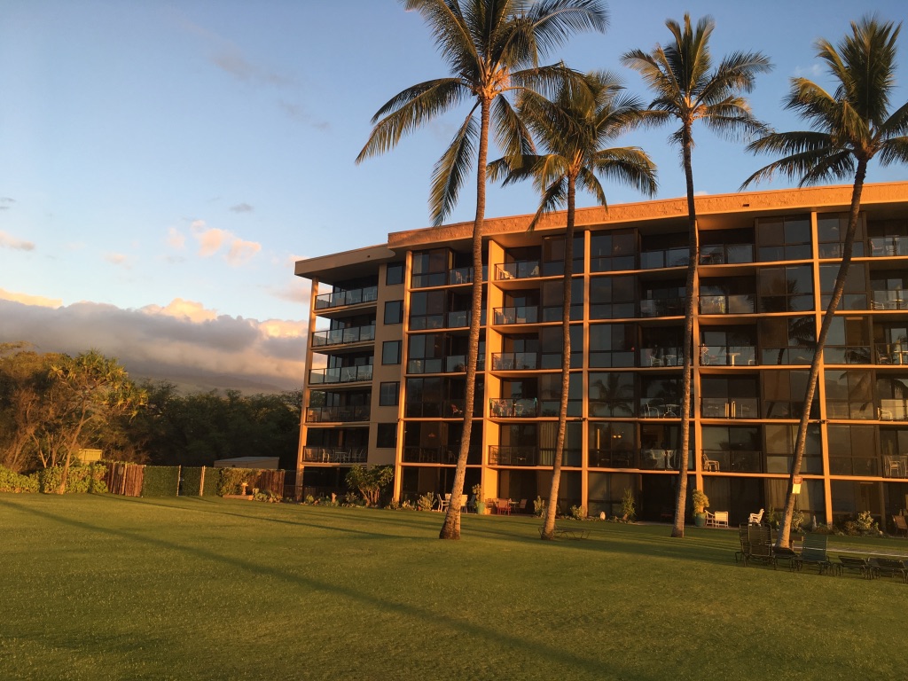 Kihei Surfside messages sticker-6