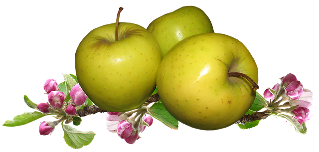 Apple Blossoms messages sticker-11