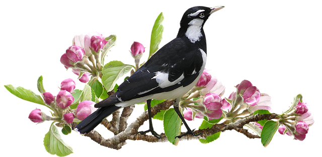 Apple Blossoms messages sticker-10