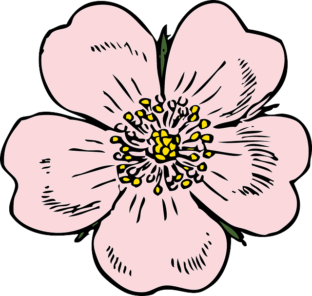 Apple Blossoms messages sticker-1