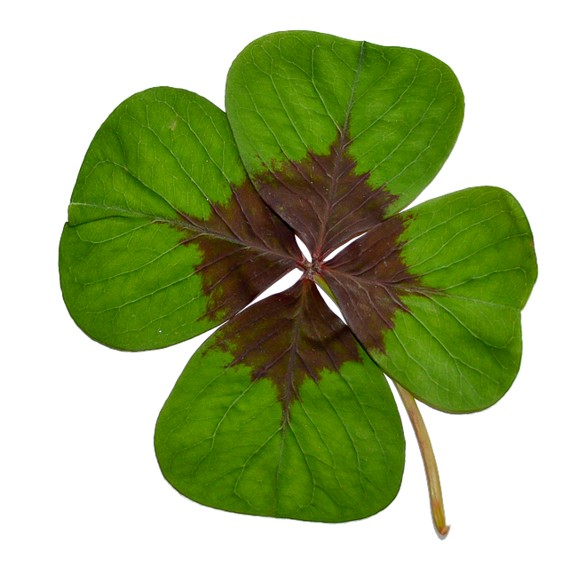 Four Leaf Clovers messages sticker-2