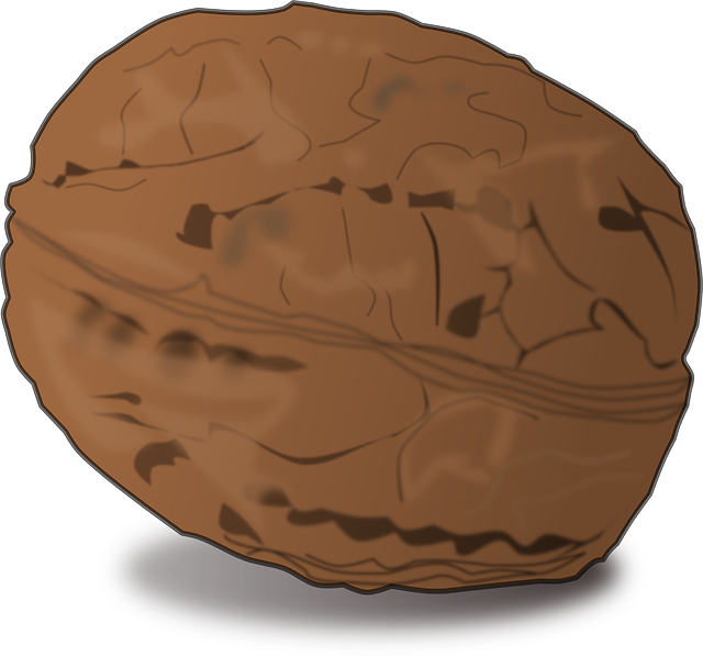 Walnut Stickers messages sticker-1
