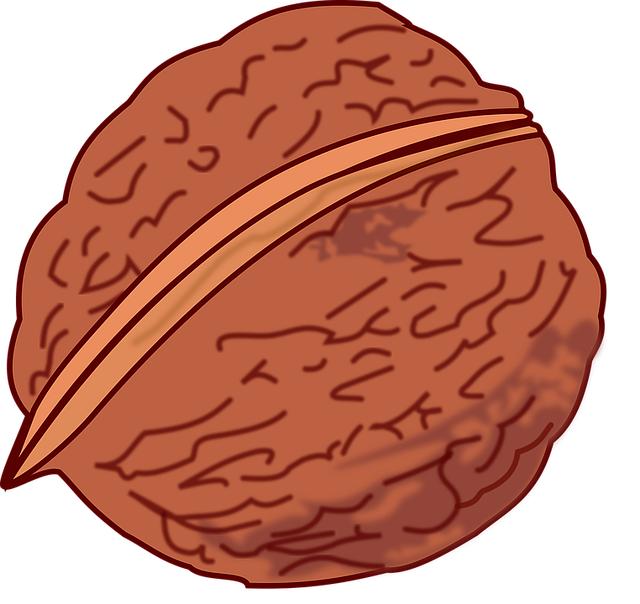 Walnut Stickers messages sticker-0