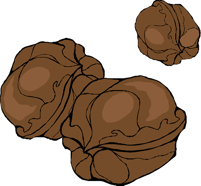 Walnut Stickers messages sticker-4