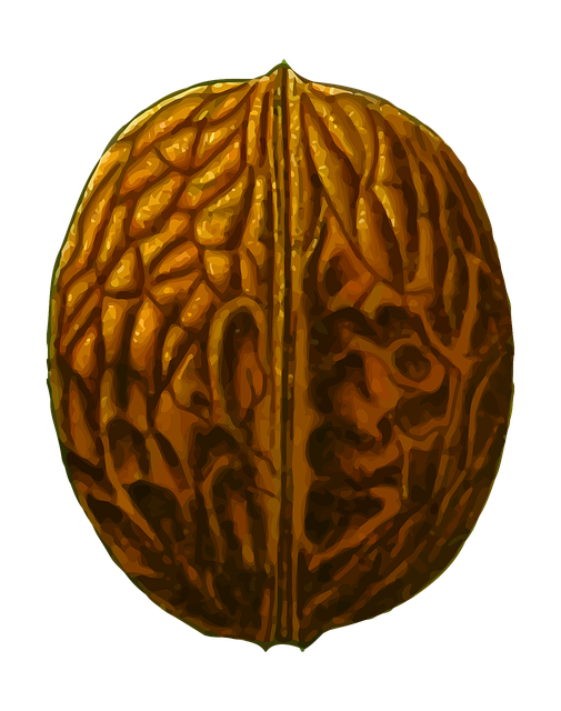 Walnut Stickers messages sticker-2