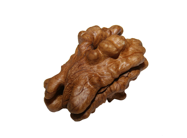 Walnut Stickers messages sticker-6