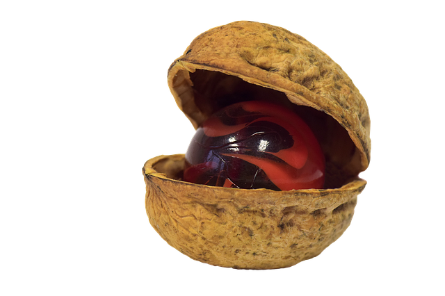 Walnut Stickers messages sticker-5