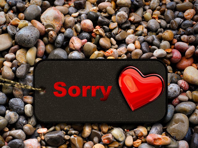 So So Sorry messages sticker-7