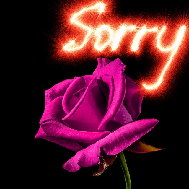 So So Sorry messages sticker-0