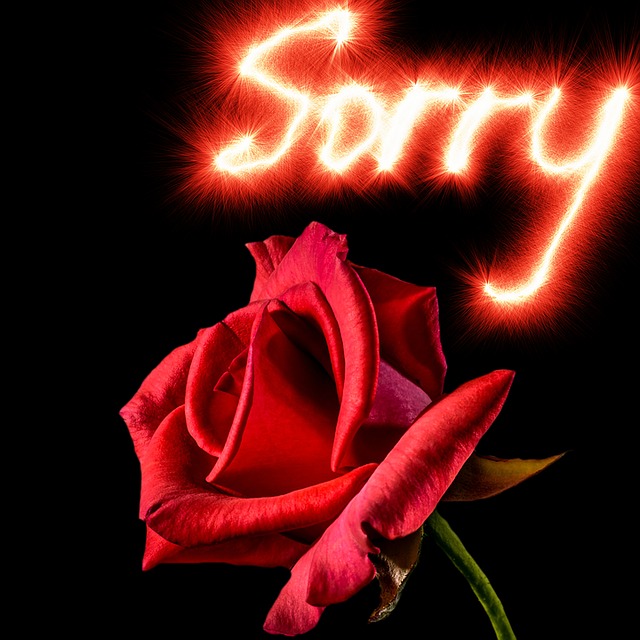 So So Sorry messages sticker-1