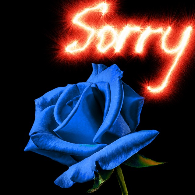 So So Sorry messages sticker-2