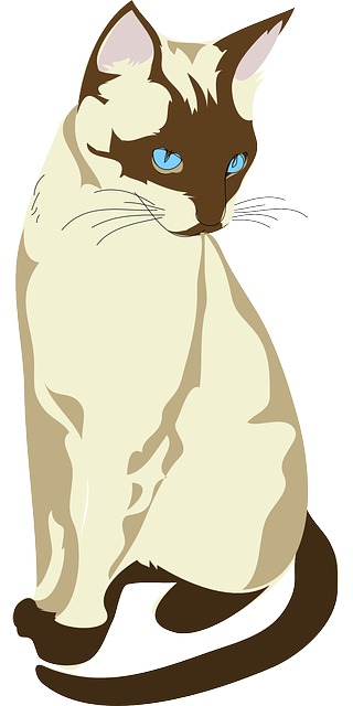 Cat Graphics messages sticker-4