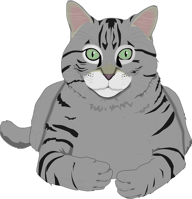 Cat Graphics messages sticker-8