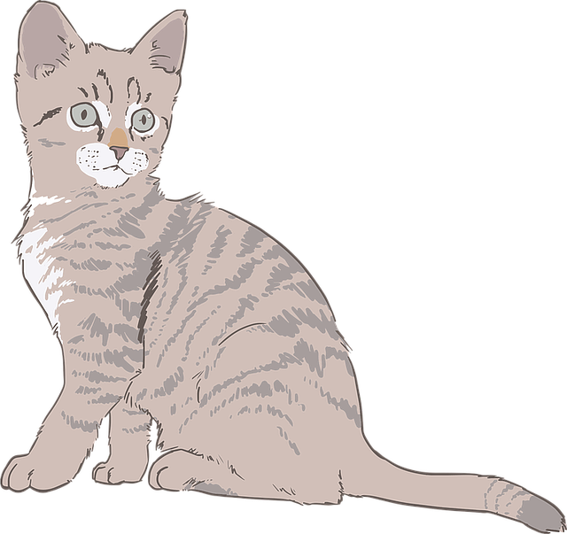Cat Graphics messages sticker-5