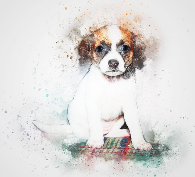 Pup Portraits messages sticker-11