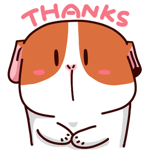 Lovely Cavy Animated Stickers messages sticker-5